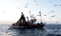 REGIONE: FERMO PESCA FINO AL 4 OTTOBRE