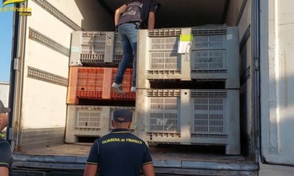ROMA: FERMATI SUL GRA CON UN CARICO DI DROGA