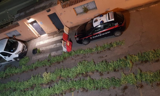 ROMA: COLTIVAVANO 430 PIANTE DI MARIJUANA, ARRESTATI