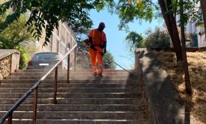 ROMA: ALBERI E DISERBO, PARTITO IL PIANO