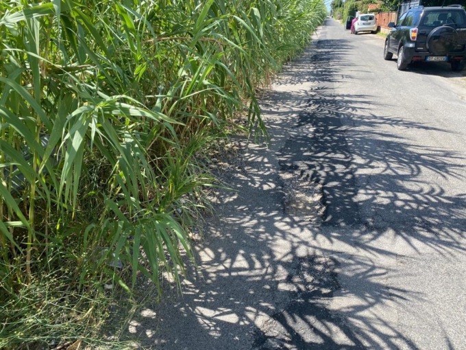 TERRACINA: DEGRADO IN ZONA MORTACINO. RACCOLTA FIRME DEI RESIDENTI