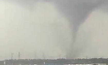CIVITAVECCHIA: TROMBA D’ARIA, ALBERI CADUTI E RAMI DIVELTI