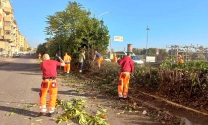 ROMA: TERMINATI I LAVORI DI PULIZIA DELLA TENGENZIALE EST