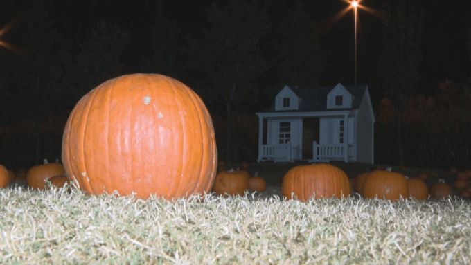 PIGNATARO MAGGIORE: IL GIARDINO DI HALLOWEEN PIÙ GRANDE D’EUROPA, STASERA SUL CANALE 118
