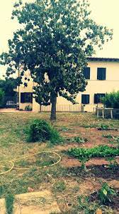CAPRANICA: DEVASTA LA CASA FAMIGLIA, ARRESTATO EX OSPITE