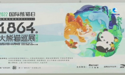 CINA: SCULTURE DI CARTA DI PANDA GIGANTI ESPOSTE A XIAMEN