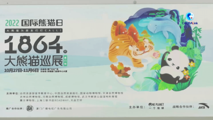 CINA: SCULTURE DI CARTA DI PANDA GIGANTI ESPOSTE A XIAMEN