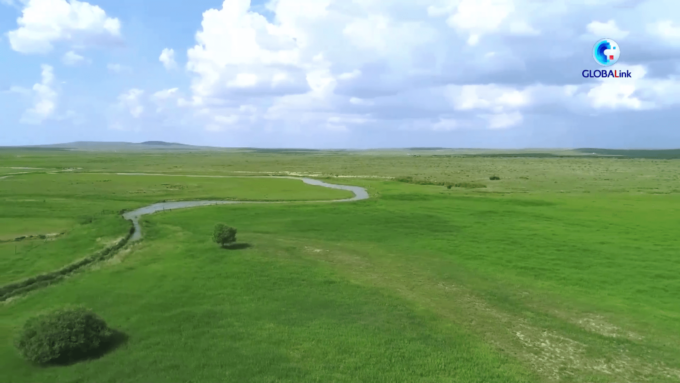 La Cina ha fatto molta strada nella transizione verde