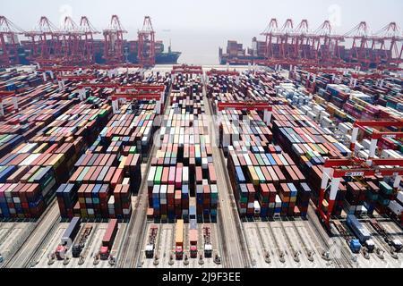 DUE MOLI PER CONTAINER AUTOMATIZZATI OPERATIVI NELLA CINA ORIENTALE