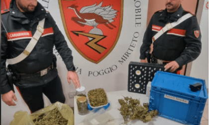 POGGIO MIRTETO: SORPRESO A COLTIVARE MARIJUANA, ARRESTATO