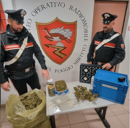POGGIO MIRTETO: SORPRESO A COLTIVARE MARIJUANA, ARRESTATO