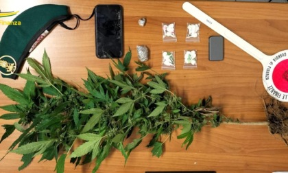 FORMIA: TROVATO CON COCAINA E HASHISH IN CASA