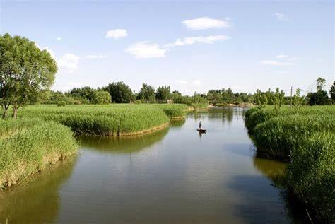 Pianura della Cina del Nord: migliora ecosistema del lago Baiyangdian