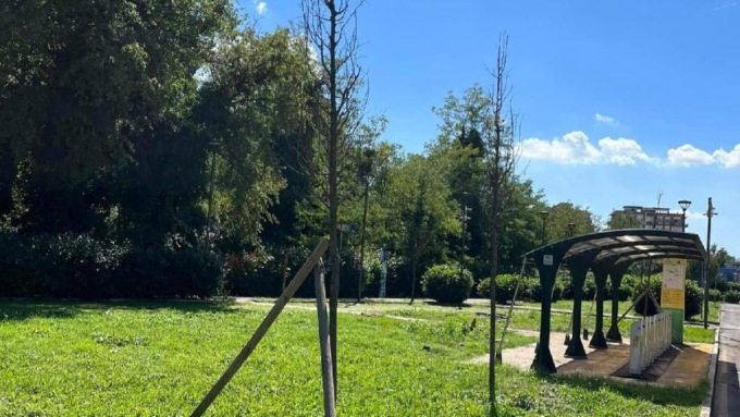 FROSINONE: LA FESTA DELL’ALBERO