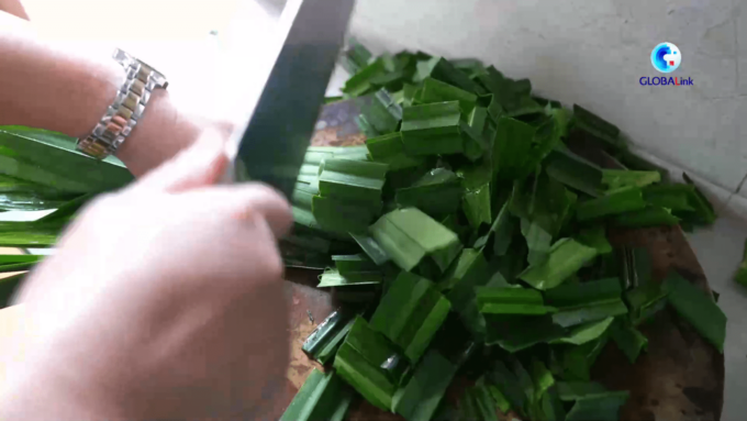 Cina: a Hainan si piantano sempre più pandani