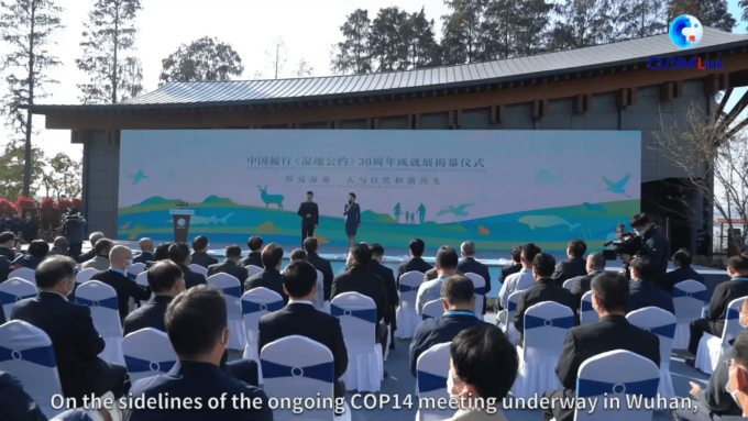 Mostra sui tre decenni di conservazione delle zone umide in Cina