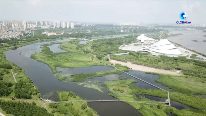 Cina: Harbin è un paradiso delle zone umide