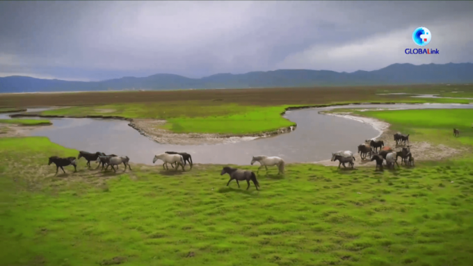 Lo sviluppo verde della Cina porta benefici al mondo