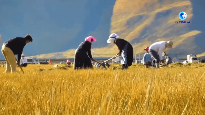 Cina: gli esperti elogiano le pratiche nell’eradicazione della povertà