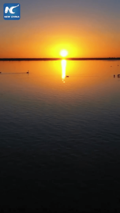 Cina: cresce il numero degli uccelli migratori nella Mongolia Interna