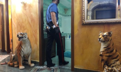 ROMA: RINTRACCIATO E ARRESTATO EMANUEL CASAMONICA