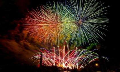 CAPODANNO: CANI E GATTI, IL DECALOGO