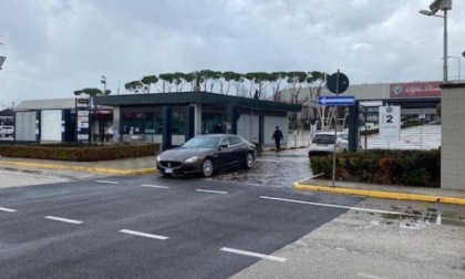 PIEDIMONTE SG: DROGA E MARMITTE RUBATE ALLA STELLANTIS