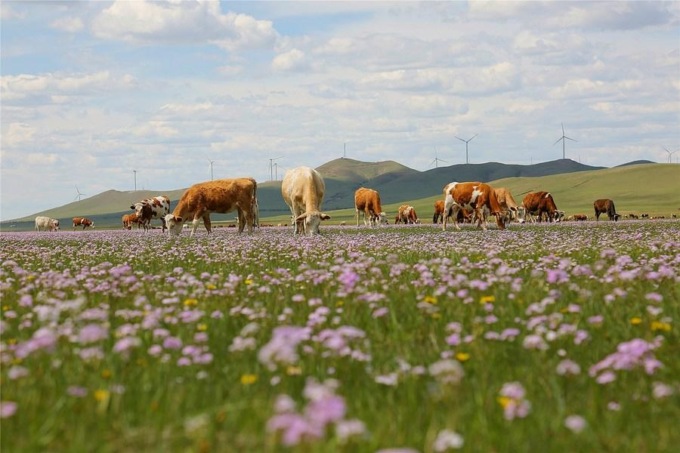 CINA: MONGOLIA INTERNA, FIUME CONTINUA A SCORRERE A -40 GRADI CELSIUS