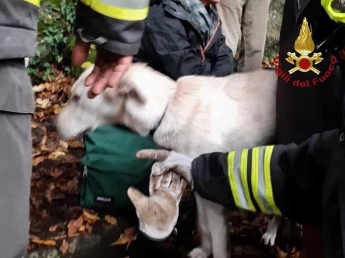NEMI: SCIVOLANO IN UN DIRUPO, I VIGILI DEL FUOCO SALVANO DUE CANI