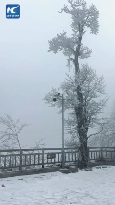 Cina: Zhangjiajie accoglie la prima neve di questo inverno
