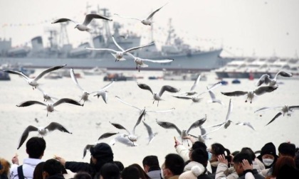 Cina: pubblico per i gabbiani nello Shandong durante la Festa di primavera