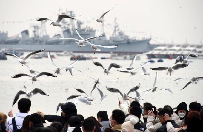 Cina: pubblico per i gabbiani nello Shandong durante la Festa di primavera
