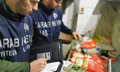 ROMA: CONTROLLI NELLA ZONA DELLA MOVIDA, 19 ARRESTI E 7 DENUNCE