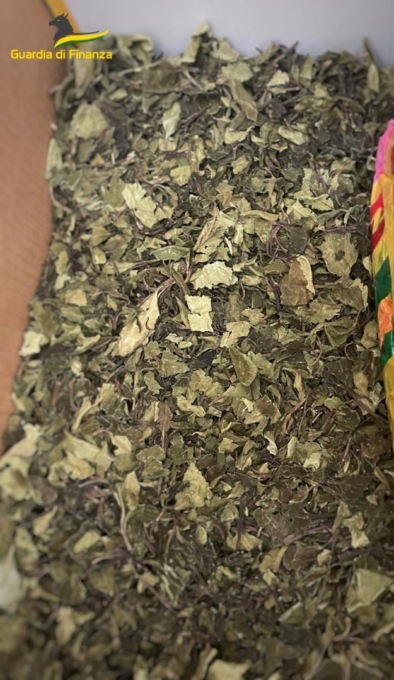 CIAMPINO: SEQUESTRATI 12 CHILI DI KHAT IN AEROPORTO