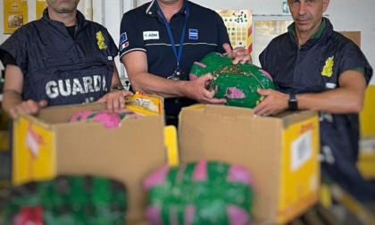 CIAMPINO: DROGA, SEQUESTRATI 12 CHILI DI KHAT