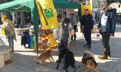 TERRACINA: MERCATINO NATALIZIO PER IL CANILE