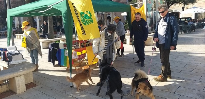 TERRACINA: MERCATINO NATALIZIO PER IL CANILE