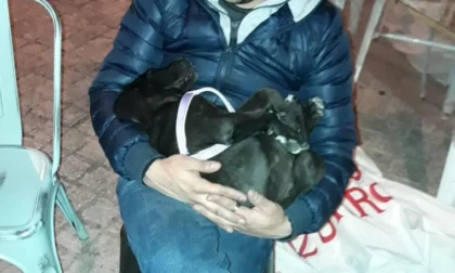 ARPINO: SCHIANTO MORTALE, PERDE LA VITA ELIO ORSINI DI 31 ANNI