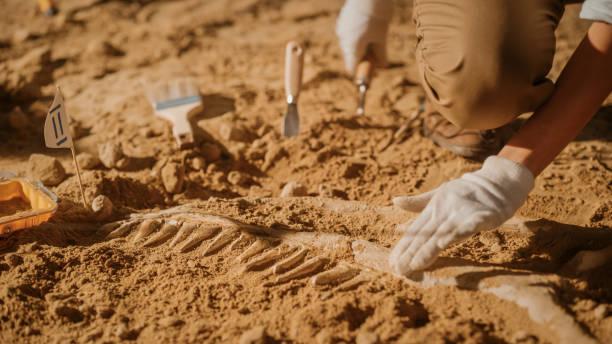 Cina: nuove evidenze di attività umana preistorica nel sud del Paese