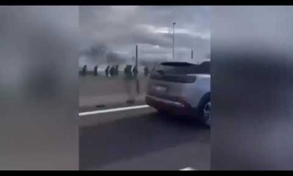 ROMA: STOP ALLE TRASFERTE PER DUE MESI PER LE TIFOSERIE ROMA E NAPOLI