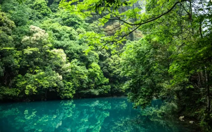 Slovenia: festeggiamenti per la Festa di Primavera cinese sulle alpi