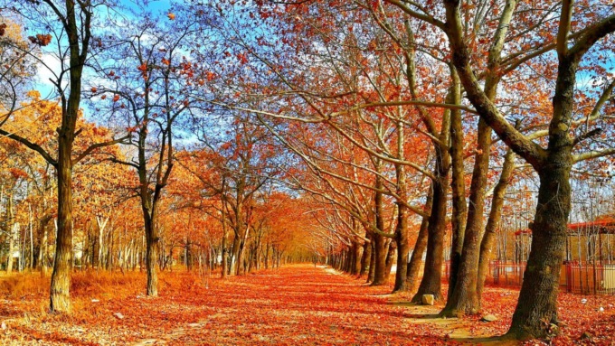 Cina: estate e autunno del 2022, i più caldi degli ultimi 60 anni