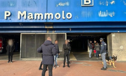 ROMA: SERVIZI ALTO IMPATTO A SAN BASILIO E COLLI ANIENE, 164 PERSONE CONTROLLATE