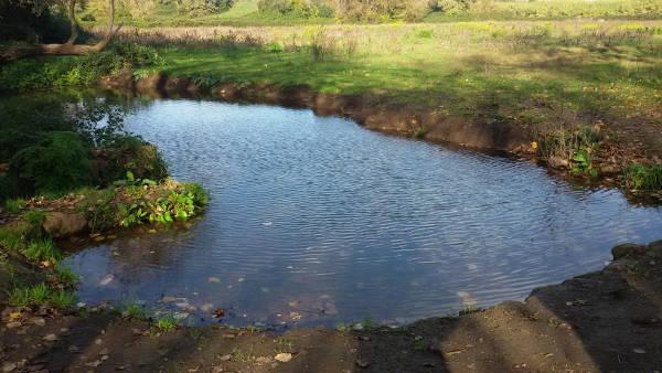 ROMA: ZONE UMIDE, L’ALLARME DEL WWF