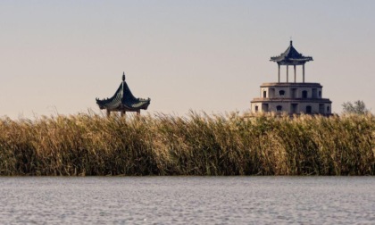 Cina: lago Hengshui, arrivano uccelli per la migrazione annuale