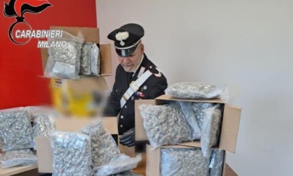 SEQUESTRATO UN CARICO DI DROGA  DESTINATO AL LAZIO