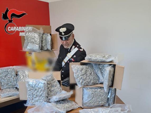 SEQUESTRATO UN CARICO DI DROGA  DESTINATO AL LAZIO