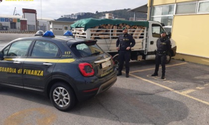 FORMIA: SEQUESTRATE DUE TONNELLATE DI LEGNA ABUSIVA