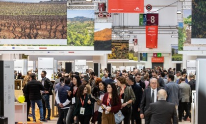 Barcelona Wine Week 2023: numero record di cantine espositrici