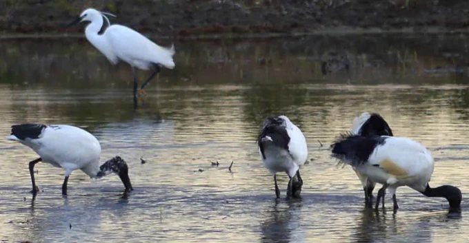 Cina: il fascino delle zone umide del Paese
